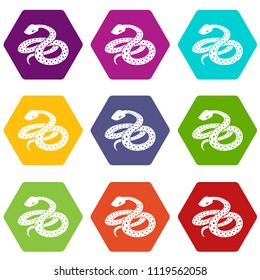 Mexican kingsnake icons 9 set coloful isolated on white for web
