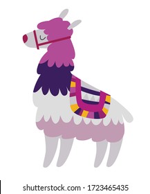 Mexican lama vector illustration. Drawing cartoon Lama isolation on white background