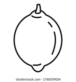 Mexican lime icon. Outline mexican lime vector icon for web design isolated on white background