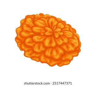 Mexican marigold cempasuchil flower. Isolated cartoon vector vibrant orange tagetes blossom bud associated with cultural celebrations and festive occasions of Mexico, Day of the dead and Muertos event