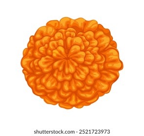 Mexican marigold cempasuchil flower. Isolated cartoon vector tagetes blossom bud with orange petals, symbol of cultural celebrations and festive occasions of Mexico, Day of the dead and Muertos event