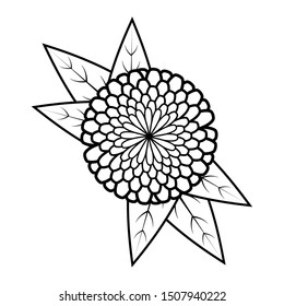 Mexican marigold flower (cempasuchil) vector illustration, used in the day of the dead in Mexico.