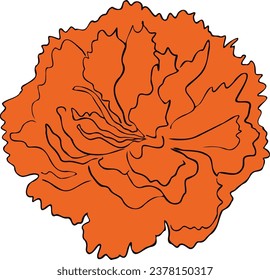 Mexican marigold orange flower for the day of the dead Vector illustration