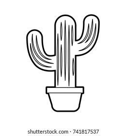 mexican potted cactus natural plant decoration