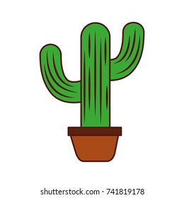 mexican potted cactus natural plant decoration