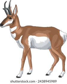 Mexikanisches Pronghorn in Vektor-Illustration Kunst