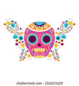 mexican skull isolated icon vector illustration design