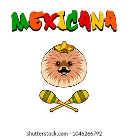 Mexican Spitz dog with mustache, sombrero and maracas. Vector illustration isolated on white background. Mexicana text.