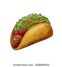 Mexican taco with beef and tomatoes. Vector illustration