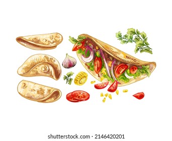 mexican tacos, tacos flour tortillas, onion, corn, cilantro, tomato, colorful vector elements isolated on white background