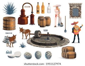 Mexican tequila alcohol drink production process. Vector agave harvesting, cooking in brick oven, extraction with tahona and donkey, fermentation and distillation with pot stills, aging and bottling