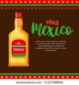 mexican tequila bottle icon