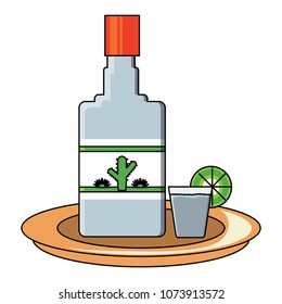 mexican tequila design