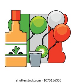 mexican tequila design