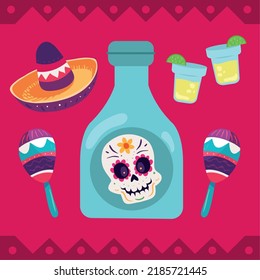 mexican tequila and maracas with hat