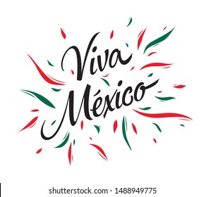 Mexican vector banner layout design. Viva Mexico holiday, vector illustration.