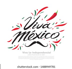 Mexican vector banner layout design. Mexican translation of the inscription: Viva Mexico. Happy Independence day.