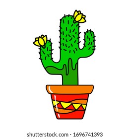 Cactus de México. Cactus cómico.