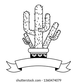 mexico cinco de mayo