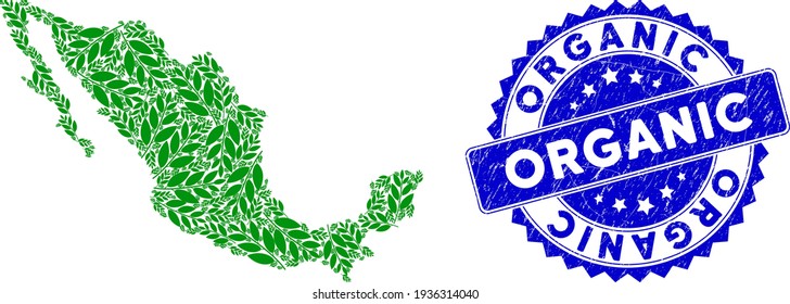 Mexico collage map composed from coca plant leaves icons, and Organic grunge seal stamp. Vector coca plant leaves randomized flat design elements are combined into conceptual map of Mexico.