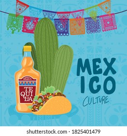 Mexico culture with tequila bottle taco and cactus design, Mexican tourism landmark latin and party theme Vector illustration