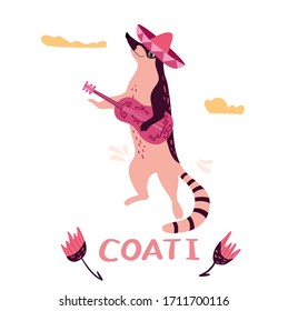 Mexico, cute coati animal, racoon