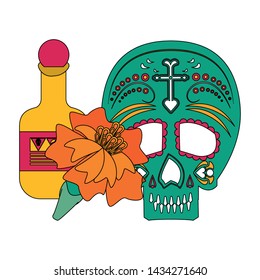 Mexico day of death celebrations skull tequila and flower cartoons vector illustration graphic design