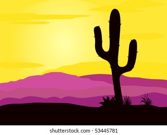 Mexico desert sunset with cactus plants silhouette and mountains