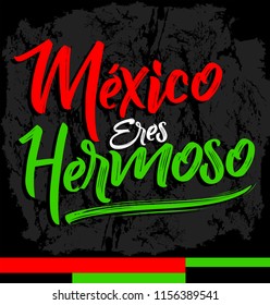 Mexico eres hermoso, Mexico you are beautiful spanish text, vector lettering illustration