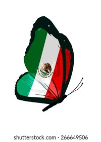 Mexico flag butterfly - vector