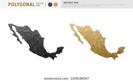 Mexico map of abstract gold and black vector polygon set couple.