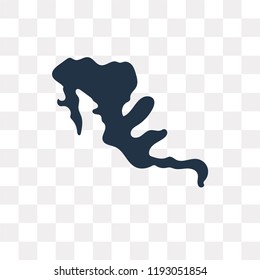 Mexico map vector icon isolated on transparent background, Mexico map transparency concept can be used web and mobile