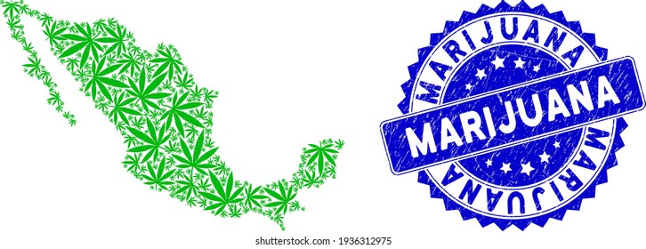 Mexico mosaic map composed with marijuana pictograms, and Marijuana grunge seal stamp. Vector marijuana scattered flat pictograms are combined into mosaic map of Mexico.