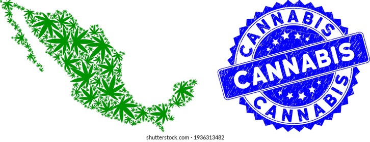 Mexico mosaic map created of cannabis elements, and Cannabis scratched seal stamp. Vector cannabis scattered flat elements are composed into mosaic map of Mexico country.