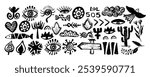 Mexico silhouette print. Ethnic border Aztec and Mayan. Mexican shapes, sign and symbol. Set of various elements drawn with charcoal pencil, eyes, fish, leaves, bird, cactus.
