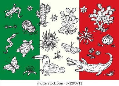 Mexico Vector set. Mexican flora and fauna. Nature of Mexico - Plants and animals. Hand drawn doodle Cactuses, butterflies, reptiles, crocodile, toucan bird