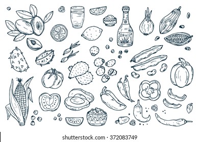 Mexico Vector set. Mexican Food - Hand drawn doodle Fresh Fruits, Vegetables, Tequila 