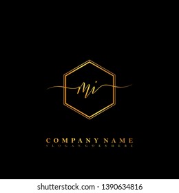 MI Initial luxury handwriting logo vector