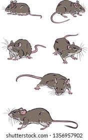 Mice, color, various poses, movements and foreshortenings of figures