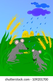Mice in the field with barley in the rain