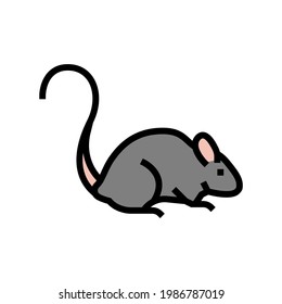 mice pet color icon vector. mice pet sign. isolated symbol illustration