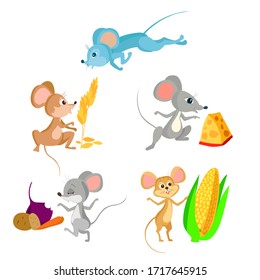 mice with vegetables, grain and cheese