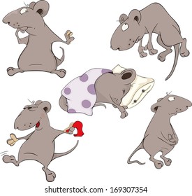 Mice.Collection. Set 