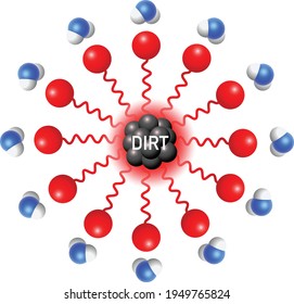 Micelle formation in dirt and detergent solution: water, h2o, hydrophilic, tail, hydrophobic, head, cation, anion, molecule