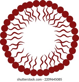 micelle micella supramolecular assembly  surfactant amphipathic lipid molecules