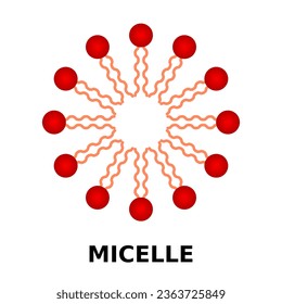 Micelle structure with hydrophilic head and hydrophobic tails. Aggregate of surfactant amphipathic lipid molecules. Phospholipid membrane cell formation. Micella simple symbol. Vector illustration. 