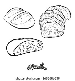 Miche food sketch separated on white. Vector drawing of Leavened, usually known in France. Food illustration series.