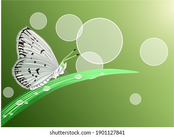 micro butterfly vector illustration, with light and dew in the morning, great for bacground and wallpaper