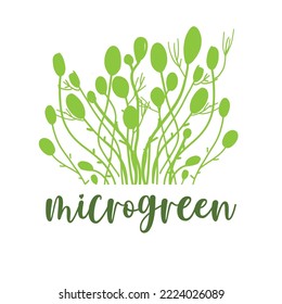 Micro green illustration for your design