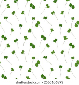 Micro green sprouts seamless pattern. Hand drawn chia leaves in doodle style, vector illustration on white background. Decorative for wrapping and packaging, organic plants